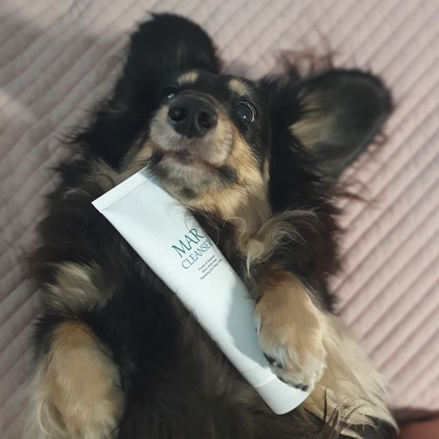 틸디앤 마르클렌저 리뷰 사진
