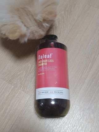 달리프 진저 베러 퍼퓸 탈모 완화 샴푸 1000ml 향 3종 — 5점을 준 리뷰어가 2021년 2월 올린 사용 사진