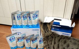 자연에온 마시는 프로틴 고함량 균형단백질 음료 포스틴 125ml 10개입 1BOX — 4점을 준 리뷰어가 2021년 3월 올린 사용 사진