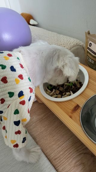 뽀오오옹님이 올린 리뷰 사진 3