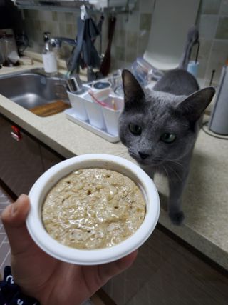 보리엄마님이 올린 리뷰 사진 4