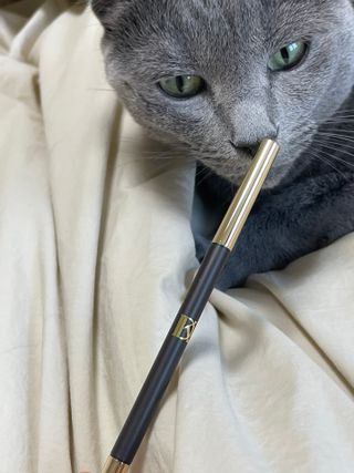 여온님이 올린 리뷰 사진 1