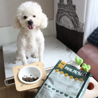 [푸디웜] 라포그  리얼인섹트 웨이트밸런스 저알러지 강아지 사료  1.2KG — 5점을 준 리뷰어가 2022년 7월 올린 사용 사진