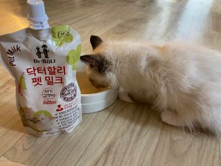 율집사님이 올린 리뷰 사진 4