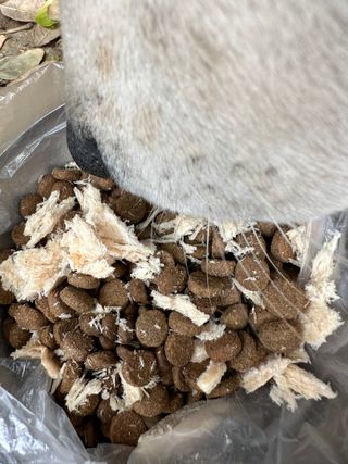 [펫시밀] 원물그대로 영양듬뿍 동결건조 왕북어트릿300g,왕치킨트릿400g,열빙어트릿300g 대용량 간식 — 4.5점을 준 리뷰어가 2023년 5월 올린 사용 사진