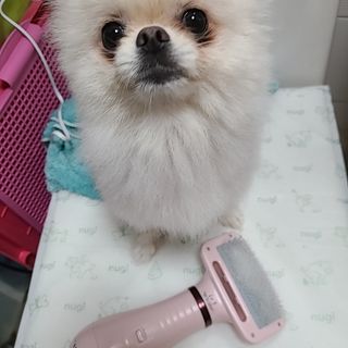 유화님이 올린 리뷰 사진 2