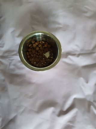 푸둘님이 올린 리뷰 사진 2