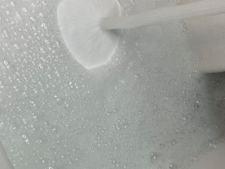 닥터시드 페퍼민트 앤 레몬 비건 비듬케어 쿨 탈모 샴푸 (1000ml) — 5점을 준 리뷰어가 2024년 2월 올린 사용 사진