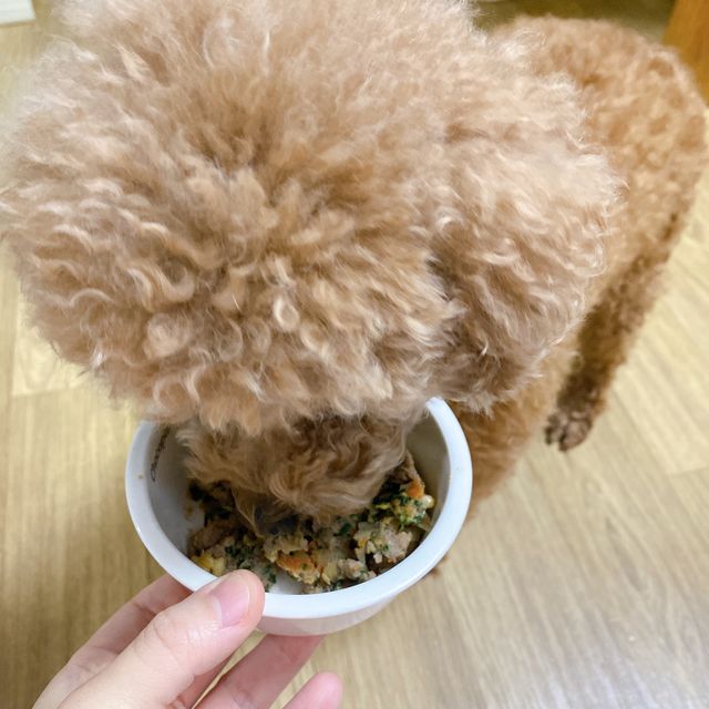 씽크라이크펫 강아지 화식 (50g 소/닭/오리/양 1팩씩 4팩) 리뷰 사진