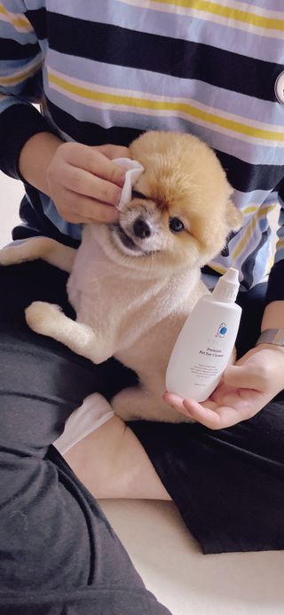 내니쭈님이 올린 리뷰 사진 3