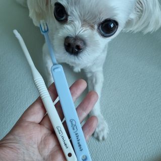 제잉님이 올린 리뷰 사진 4