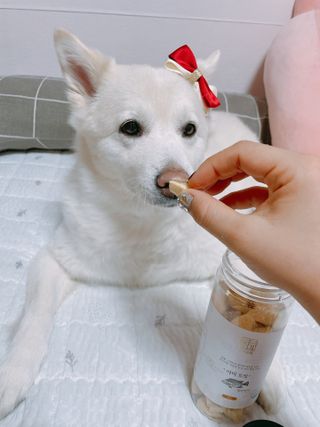 bori0924님이 올린 리뷰 사진 1