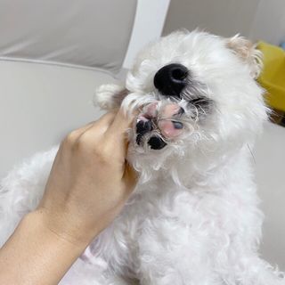 솜솜이2님이 올린 리뷰 사진 3