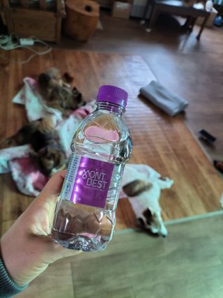 몽베스트 [MONTBEST] 330mL 20병 — 5점을 준 리뷰어가 2022년 3월 올린 사용 사진
