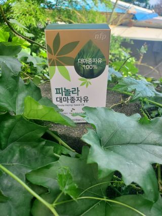 nfp 피놀라 대마종자유 — 5점을 준 리뷰어가 2021년 7월 올린 사용 사진