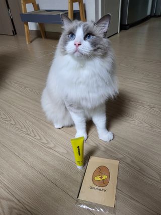 로크찡님이 올린 리뷰 사진 1