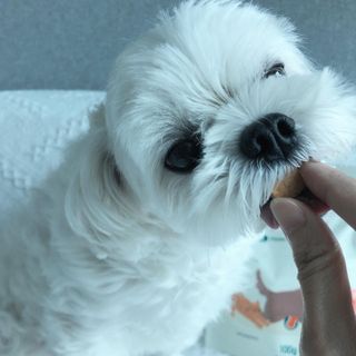 torius님이 올린 리뷰 사진 2