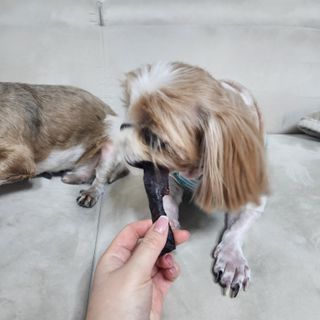 민준맘님이 올린 리뷰 사진 4