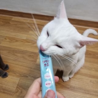페페로니 잘 먹는 캣츄 - 원양선 참치 24개입 — 5점을 준 리뷰어가 2021년 7월 올린 사용 사진