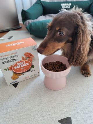 llalla님이 올린 리뷰 사진 3