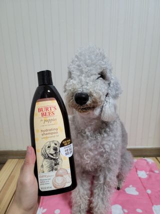 lemoniee님이 올린 리뷰 사진 1