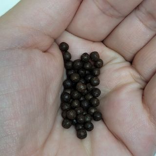 밍짜응님이 올린 리뷰 사진 2