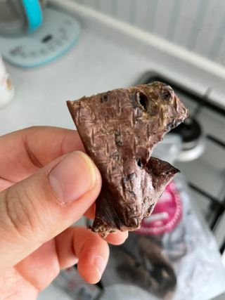[졸리졸리]말 폐(HORSE LUNG) — 5점을 준 리뷰어가 2023년 2월 올린 사용 사진