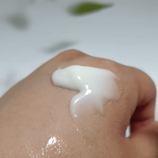 jnj님이 올린 리뷰 사진 4