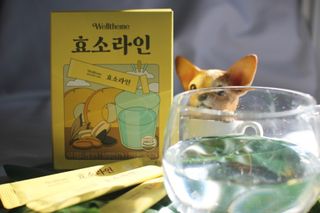 마롱쓰님이 올린 리뷰 사진 4