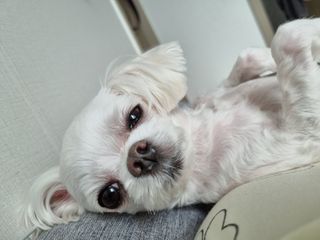 [위켄더스] 끈적임 없이 수분감을 채워주는 핸드& 바디로션 1종 랜덤발송 — 5점을 준 리뷰어가 2022년 4월 올린 사용 사진