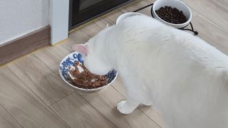 쩡이님이 올린 리뷰 사진 3
