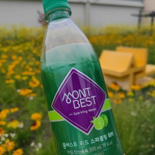 몽베스트 Montbest with Sparkling water Lime20병 — 4점을 준 리뷰어가 2022년 6월 올린 사용 사진