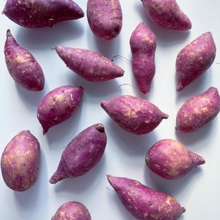 해뜨온 거산 노랑밤고구마 (3,4,5,10 kg) 한입 — 5점을 준 리뷰어가 2021년 10월 올린 사용 사진