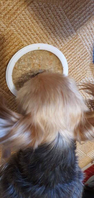 포포맘님이 올린 리뷰 사진 3
