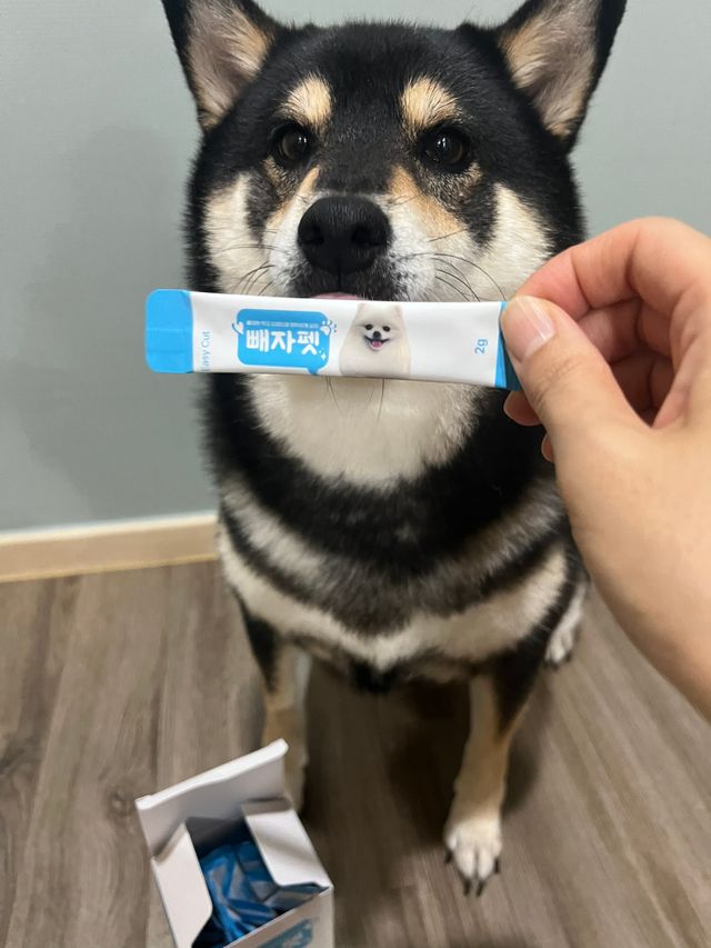 릴스용[빼자펫] 반려동물 강아지 다이어트 영양제 리뷰 사진