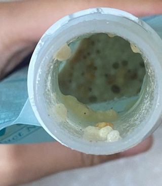 헴이님이 올린 리뷰 사진 3