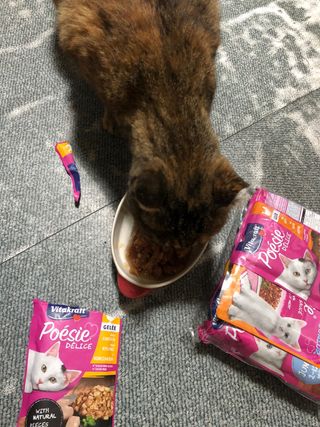 비타크래프트 포에시 델리스 고양이 파우치 85g 9가지맛 1팩씩 — 5점을 준 리뷰어가 2021년 8월 올린 사용 사진