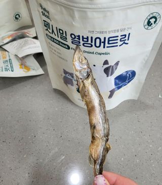 [펫시밀] 원물그대로 영양듬뿍 진공동결건조 치킨텐더100g, 열빙어트릿100g 강아지 고양이 간식 — 5점을 준 리뷰어가 2023년 5월 올린 사용 사진