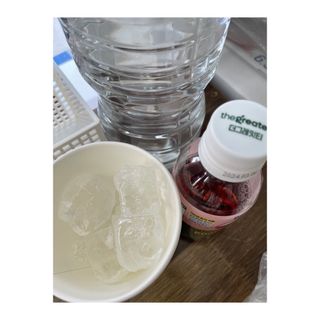 더그레잇티 콤부차 [매일유업] 더그레잇티 44kcal 콤부차 300ml *12개입 (오리지널 6개+베리리치 6개) — 5점을 준 리뷰어가 2023년 7월 올린 사용 사진