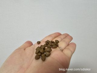 sdisksi님이 올린 리뷰 사진 2