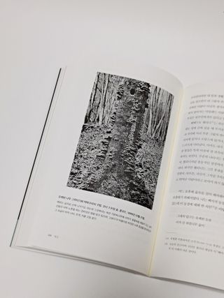 리지님이 올린 리뷰 사진 4