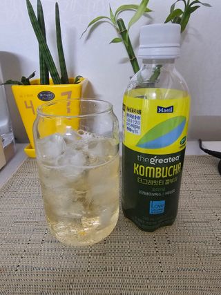 더그레잇티 콤부차 [매일유업] 더그레잇티 44kcal 콤부차 300ml *12개입 (오리지널 6개+베리리치 6개) — 5점을 준 리뷰어가 2023년 7월 올린 사용 사진