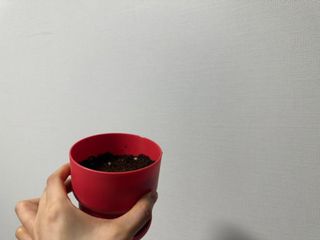 Obliviate님이 올린 리뷰 사진 3