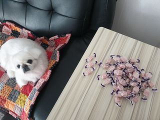 페키아름님이 올린 리뷰 사진 2