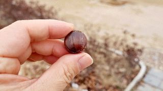 오나오나님이 올린 리뷰 사진 3