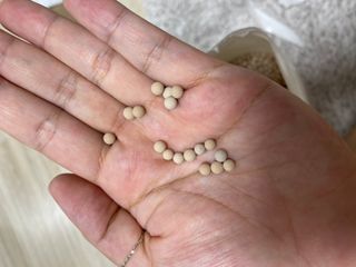 올라잍 천연화공석 — 4점을 준 리뷰어가 2022년 7월 올린 사용 사진