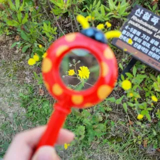 태오맘님이 올린 리뷰 사진 4