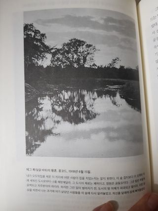 쭈닝님이 올린 리뷰 사진 3