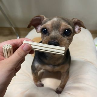세지니힛님이 올린 리뷰 사진 3