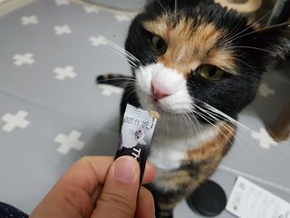 솔탄이love님이 올린 리뷰 사진 4